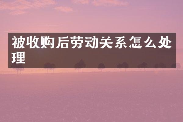 被收购后劳动关系怎么处理