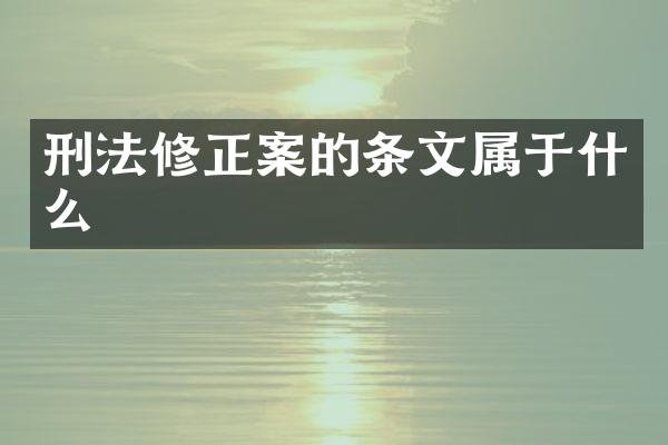 刑法修正案的条文属于什么