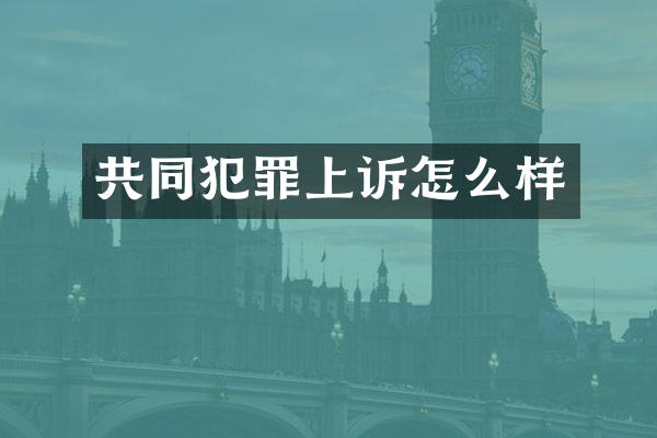 共同犯罪上诉怎么样