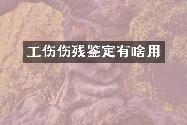 工伤伤残鉴定有啥用