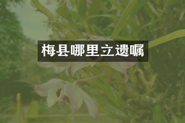 梅县哪里立遗嘱