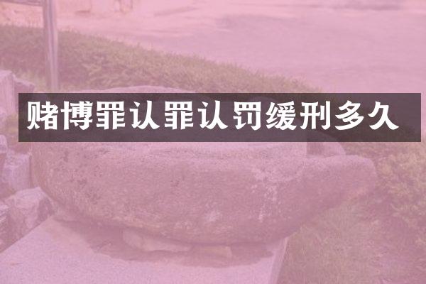 赌博罪认罪认罚缓刑多久