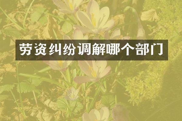 劳资纠纷调解哪个部门