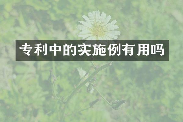 专利中的实施例有用吗