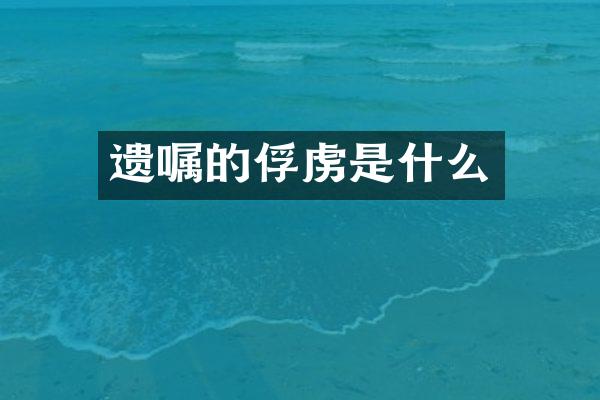 遗嘱的俘虏是什么