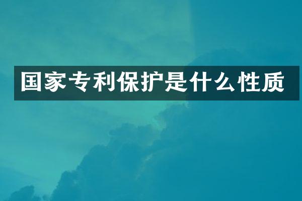 国家专利保护是什么性质