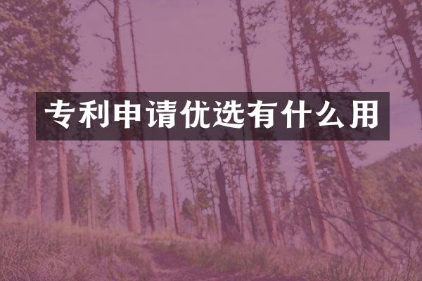 专利申请优选有什么用