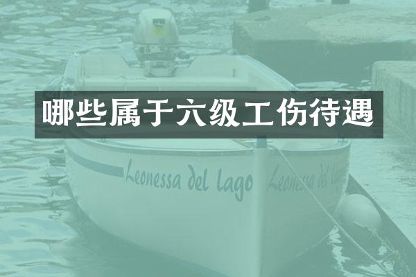 哪些属于六级工伤待遇