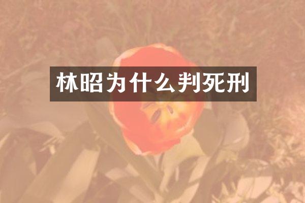 林昭为什么判死刑
