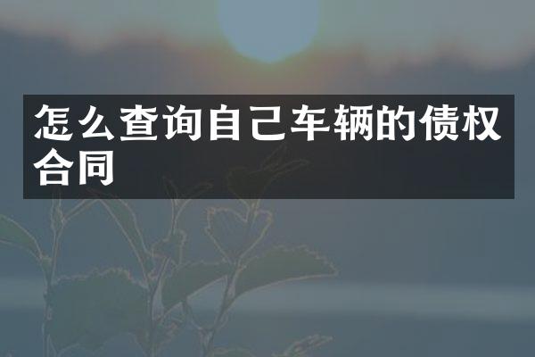怎么查询自己车辆的债权合同