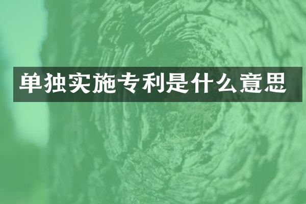 单独实施专利是什么意思