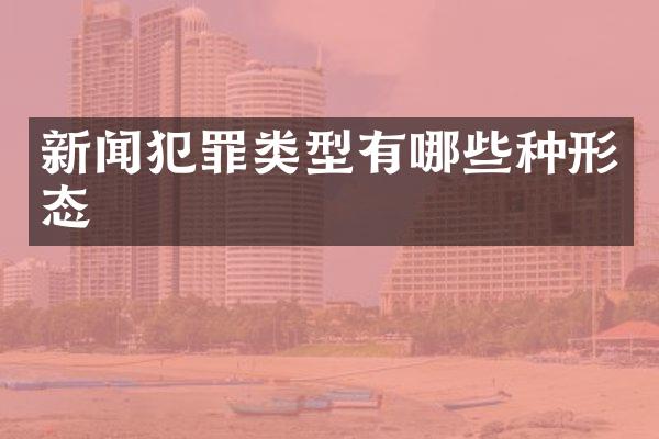 新闻犯罪类型有哪些种形态