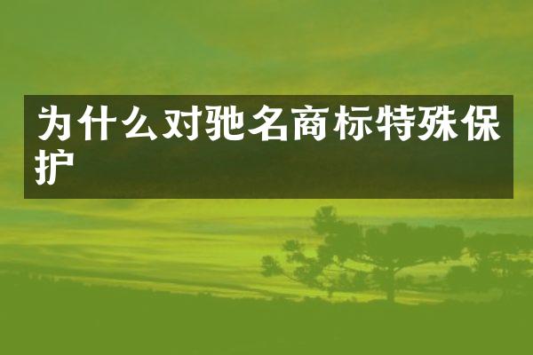 为什么对驰名商标特殊保护
