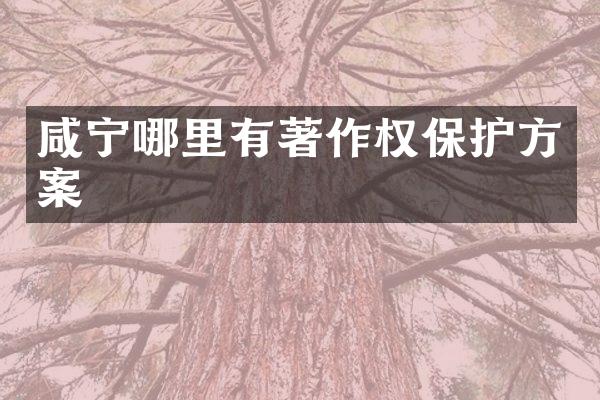 咸宁哪里有著作权保护方案