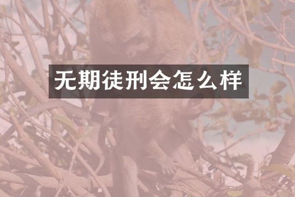 无期徒刑会怎么样