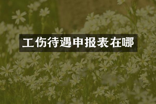 工伤待遇申报表在哪