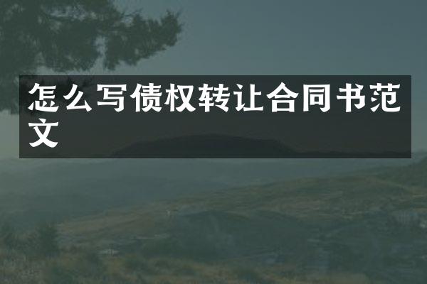 怎么写债权转让合同书范文