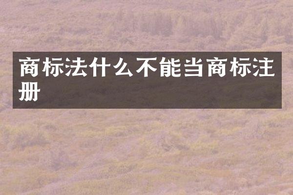 商标法什么不能当商标注册