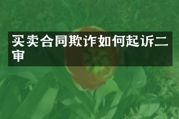 买卖合同欺诈如何起诉二审