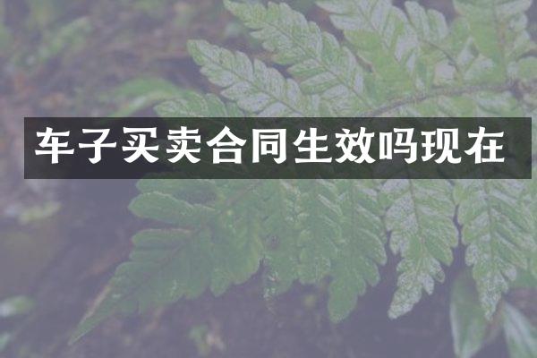 车子买卖合同生效吗现在