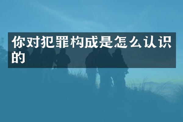 你对犯罪构成是怎么认识的