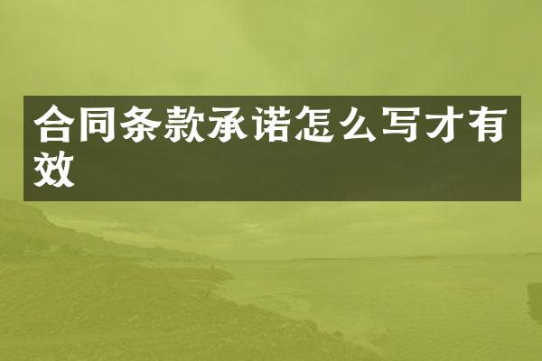 合同条款承诺怎么写才有效