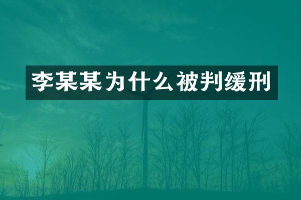 李某某为什么被判缓刑