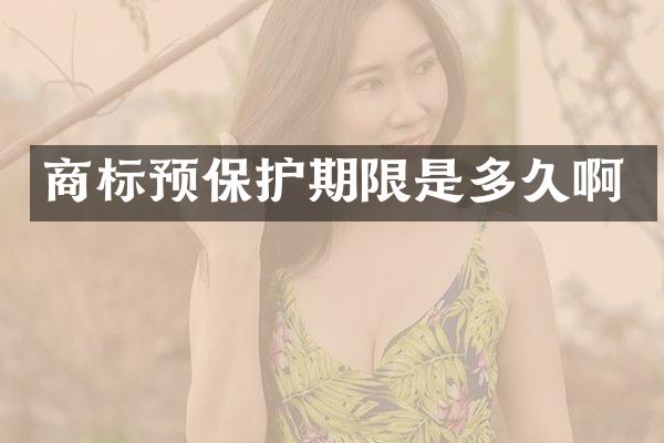 商标预保护期限是多久啊