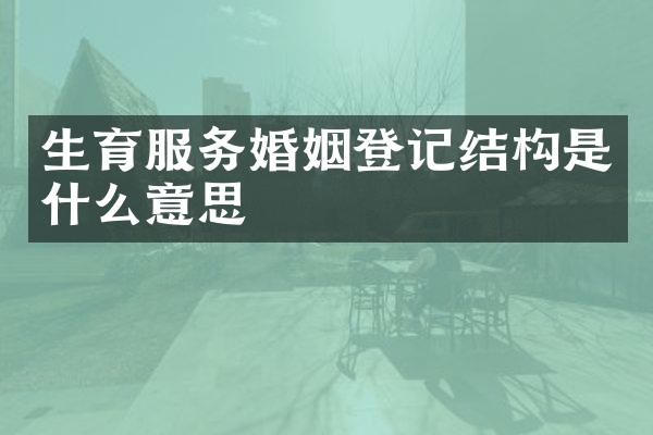 生育服务婚姻登记结构是什么意思