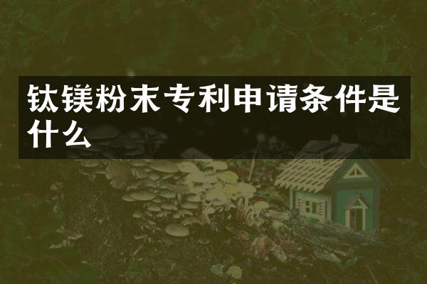 钛镁粉末专利申请条件是什么