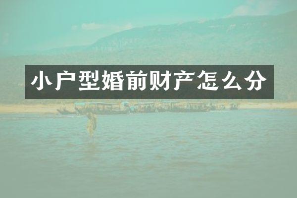 小户型婚前财产怎么分