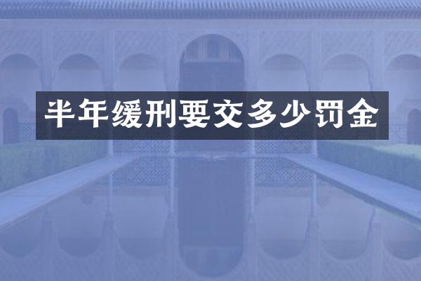 半年缓刑要交多少罚金