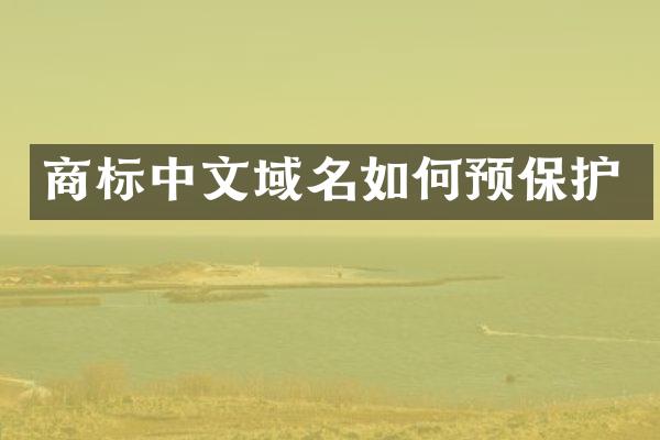 商标中文域名如何预保护