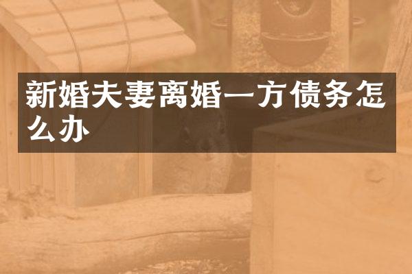 新婚夫妻离婚一方债务怎么办