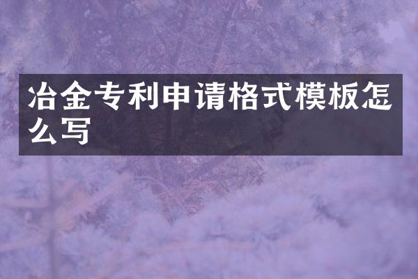 冶金专利申请格式模板怎么写