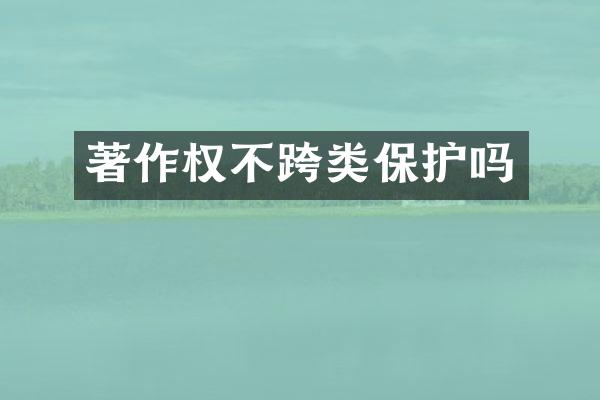 著作权不跨类保护吗