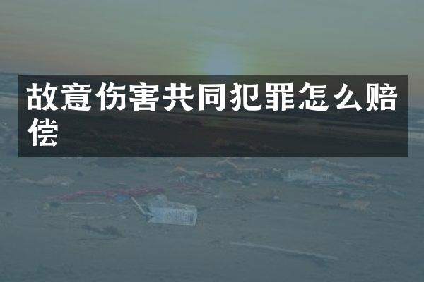 故意伤害共同犯罪怎么赔偿