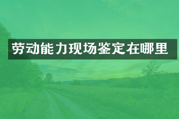 劳动能力现场鉴定在哪里