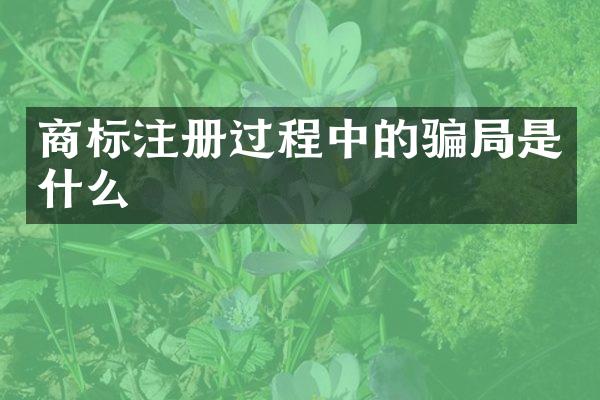 商标注册过程中的骗局是什么