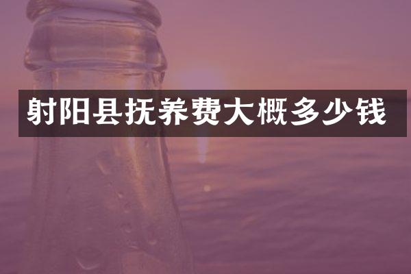 射阳县抚养费大概多少钱