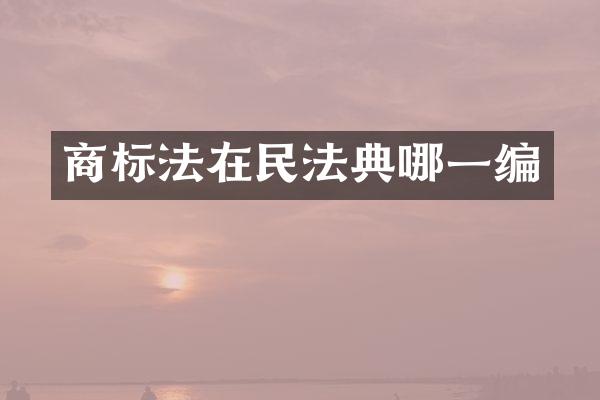 商标法在民法典哪一编