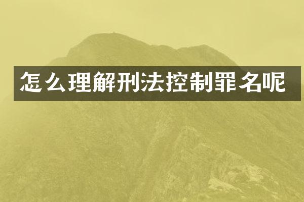 怎么理解刑法控制罪名呢