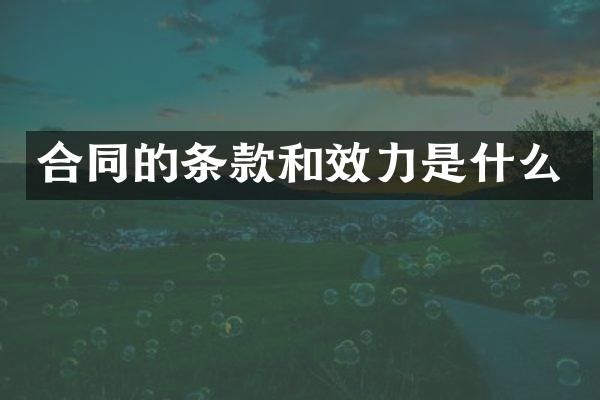 合同的条款和效力是什么