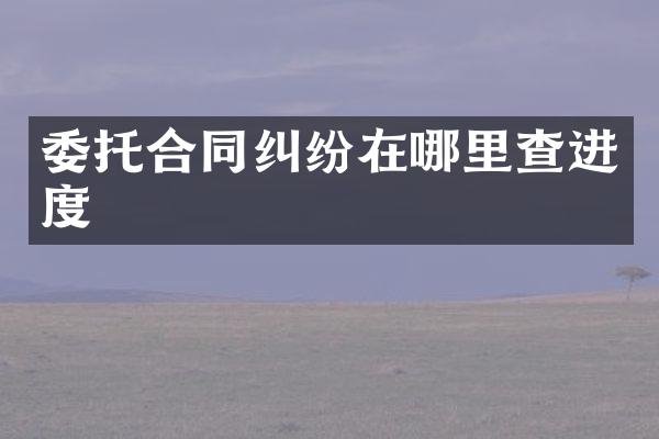 委托合同纠纷在哪里查进度