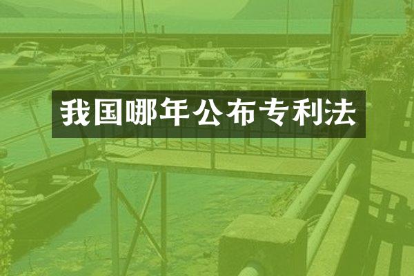 我国哪年公布专利法