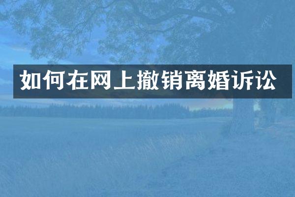 如何在网上撤销离婚诉讼