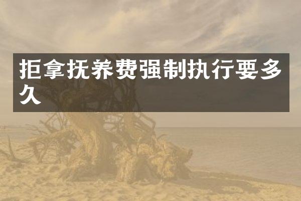 拒拿抚养费强制执行要多久