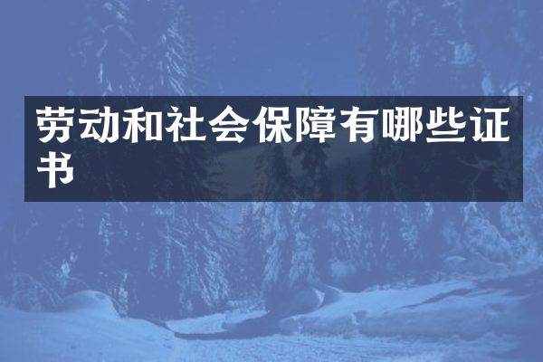 劳动和社会保障有哪些证书