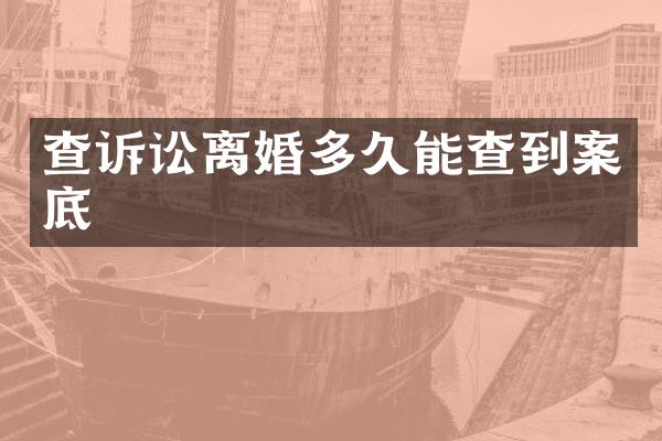 查诉讼离婚多久能查到案底