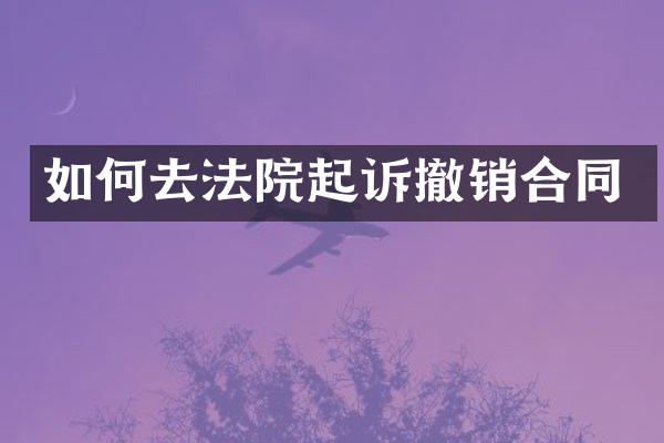 如何去法院起诉撤销合同
